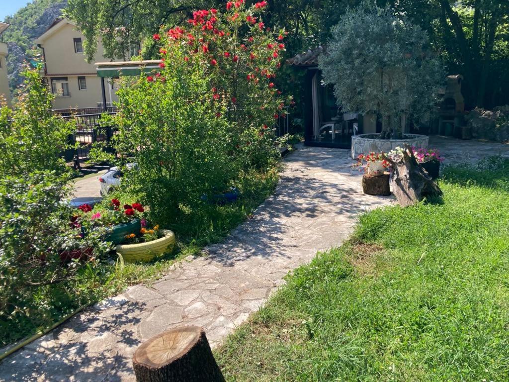 Apartments Villa Eden Kotor Ngoại thất bức ảnh