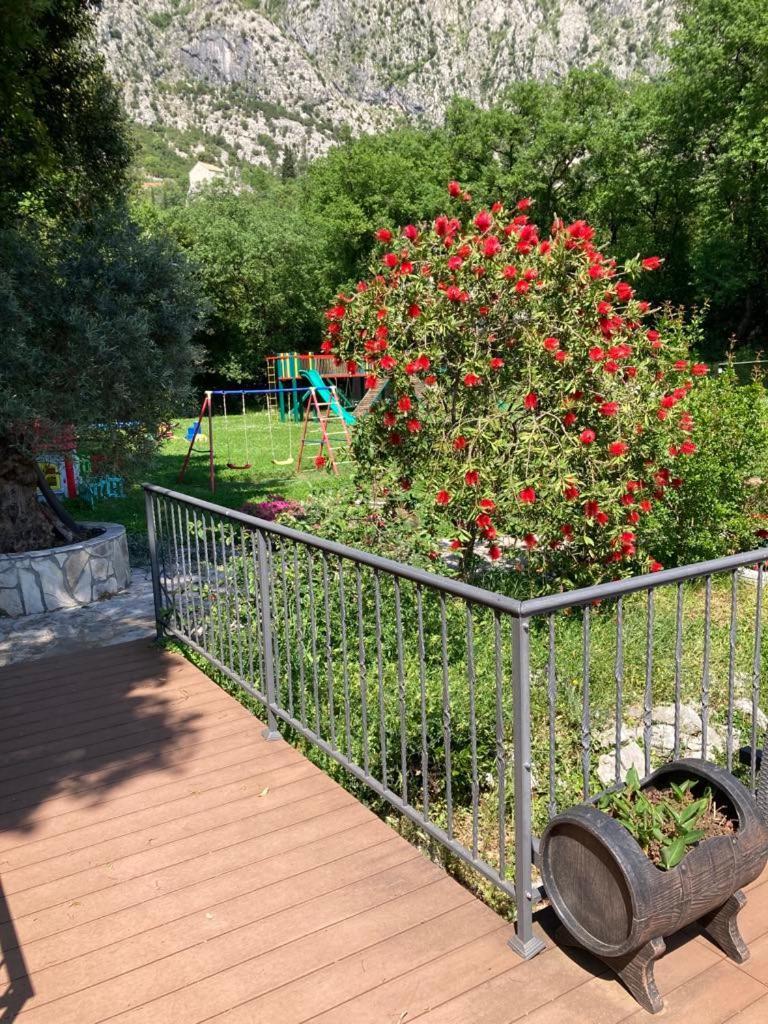 Apartments Villa Eden Kotor Ngoại thất bức ảnh